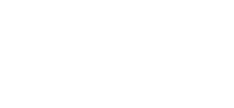 Logo alternativo de AIEDI
